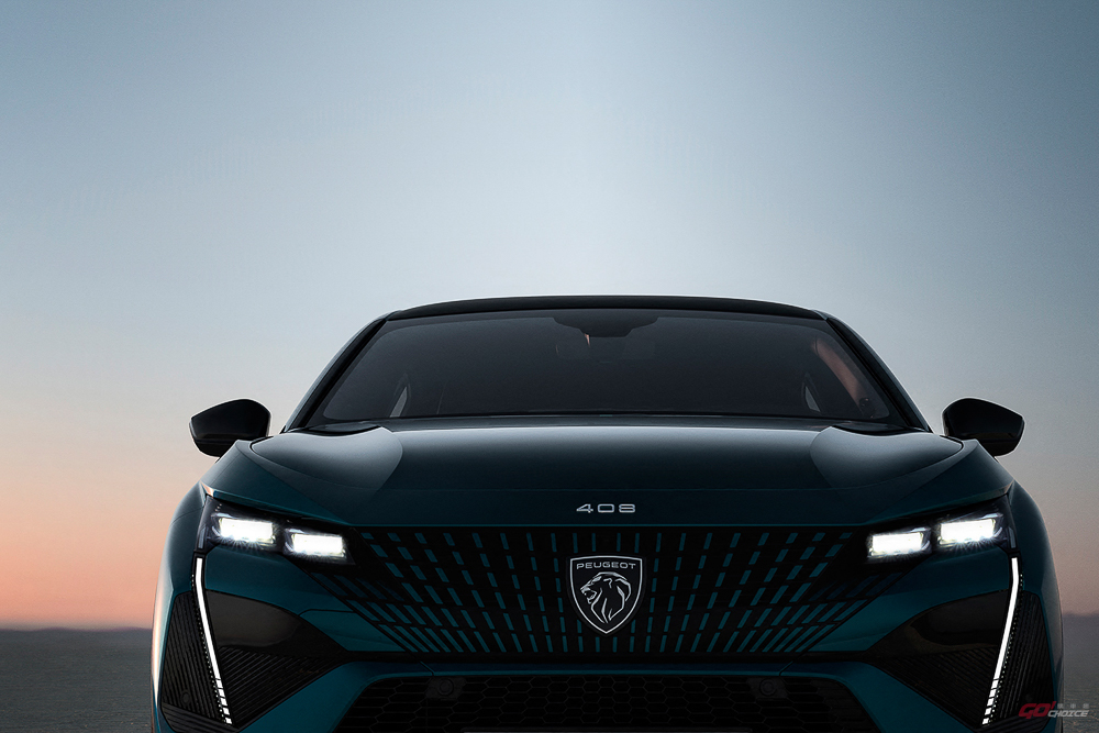 20250701Peugeot