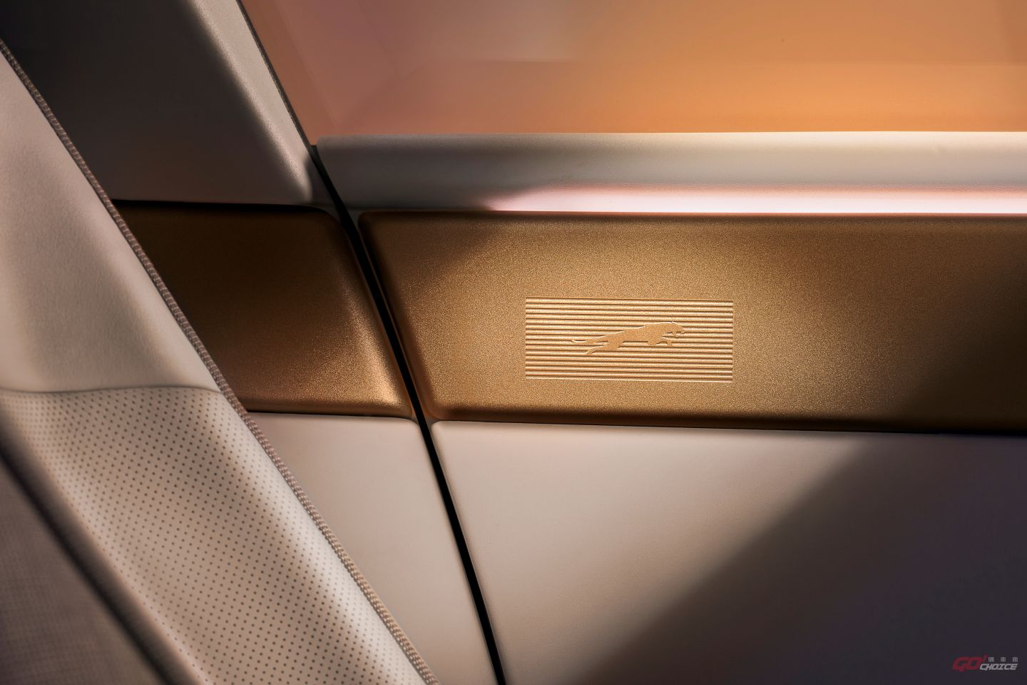 20260812jaguar.jpg